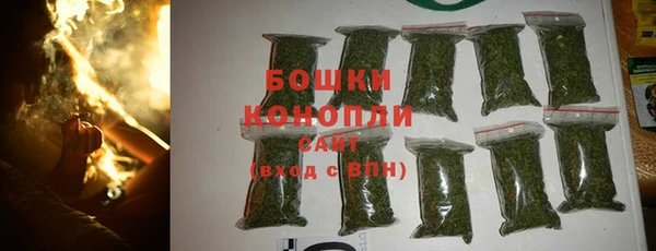 PSILOCYBIN Остров