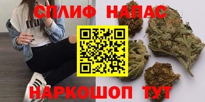 дживик Нарткала