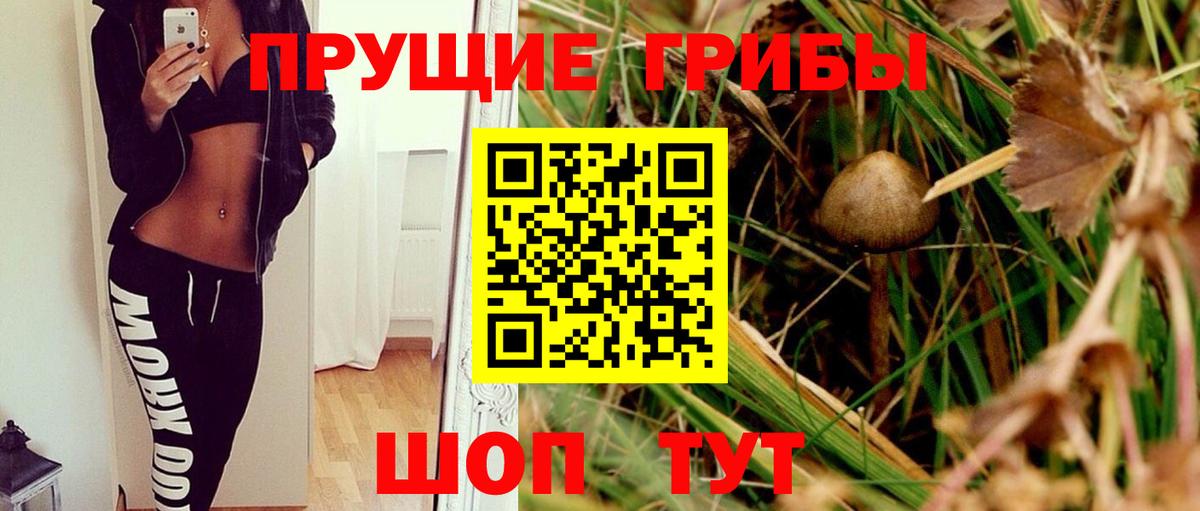 Псилоцибиновые грибы мухоморы  Вход с VPN  Ртищево  Псилоцибиновые грибы мицелий 